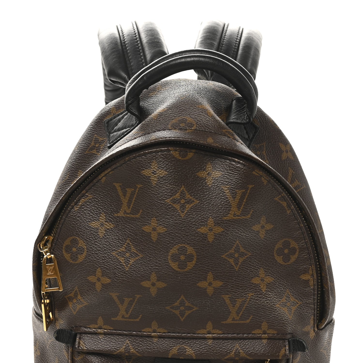 Monogram Palm Springs Backpack PM