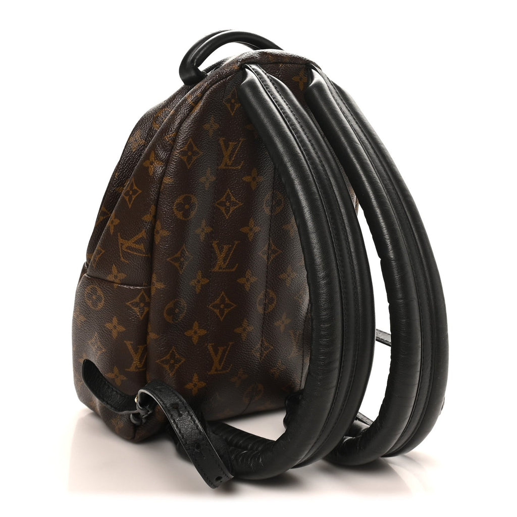 Monogram Palm Springs Backpack PM