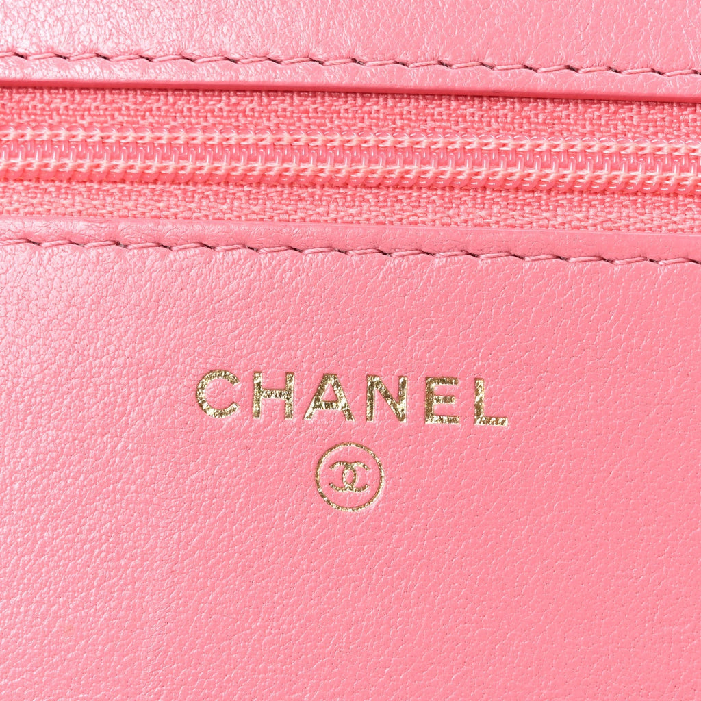 Lambskin Quilted Chanel 19 Wallet On Chain WOC Pink