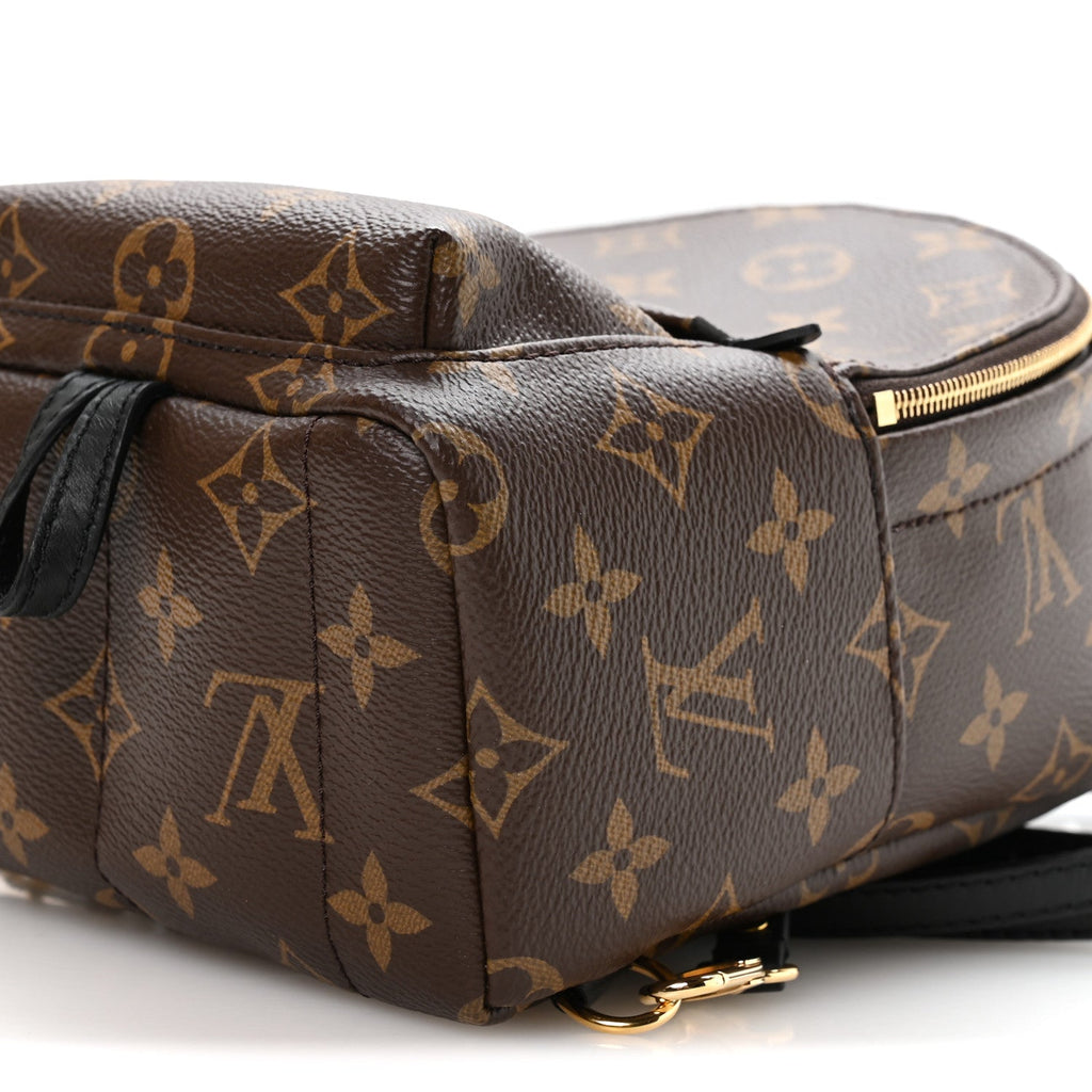 Monogram Palm Springs Backpack Mini