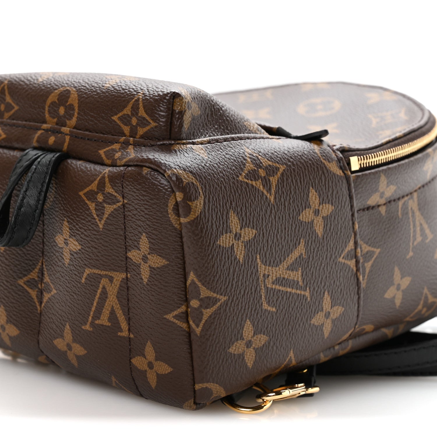 Monogram Palm Springs Backpack Mini
