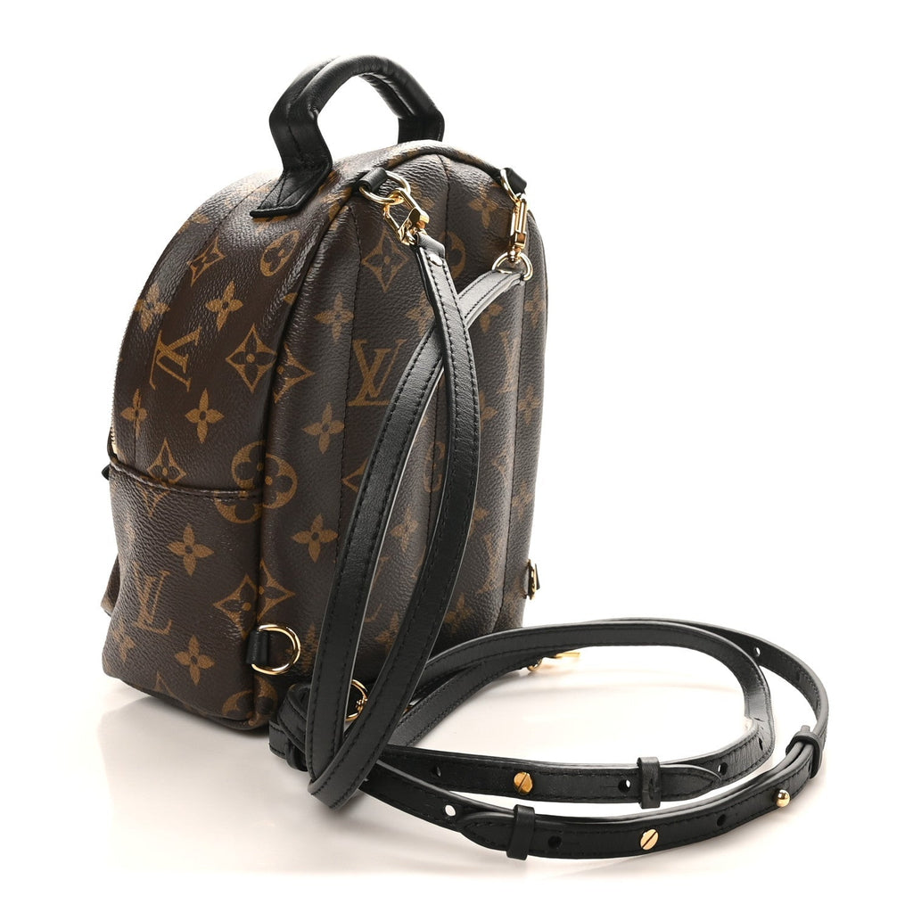 Monogram Palm Springs Backpack Mini