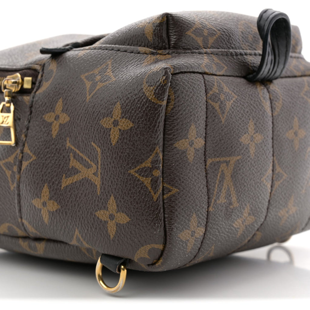 Monogram Palm Springs Backpack Mini