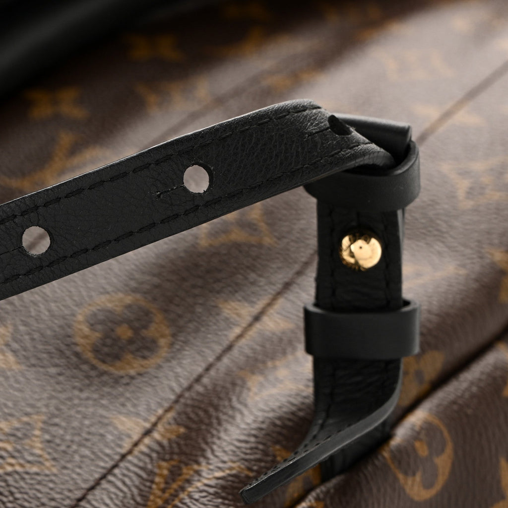 Monogram Palm Springs Backpack MM