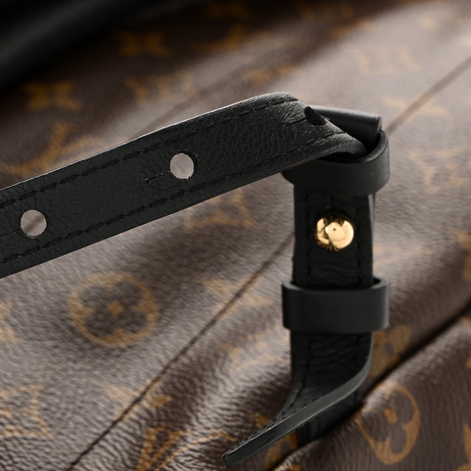 Monogram Palm Springs Backpack MM
