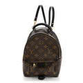 Monogram Palm Springs Backpack Mini