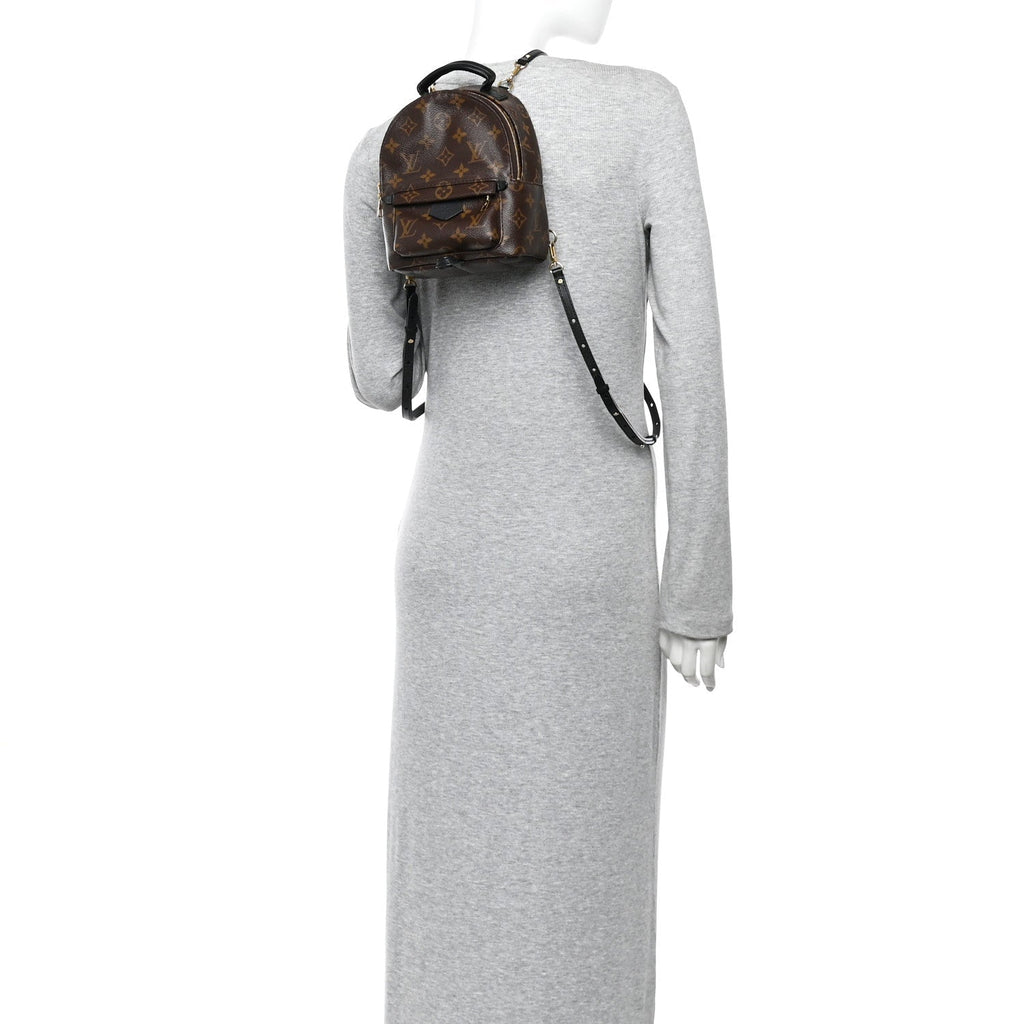 Monogram Palm Springs Backpack Mini