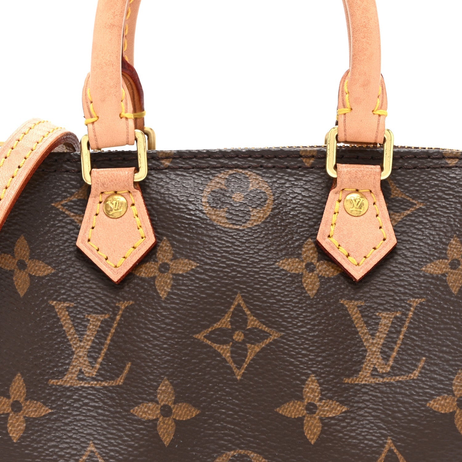 Monogram Nano Speedy