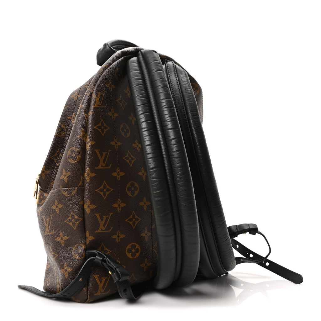 Monogram Palm Springs Backpack MM