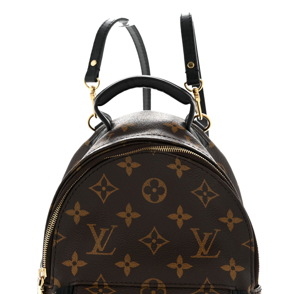 Monogram Palm Springs Backpack Mini
