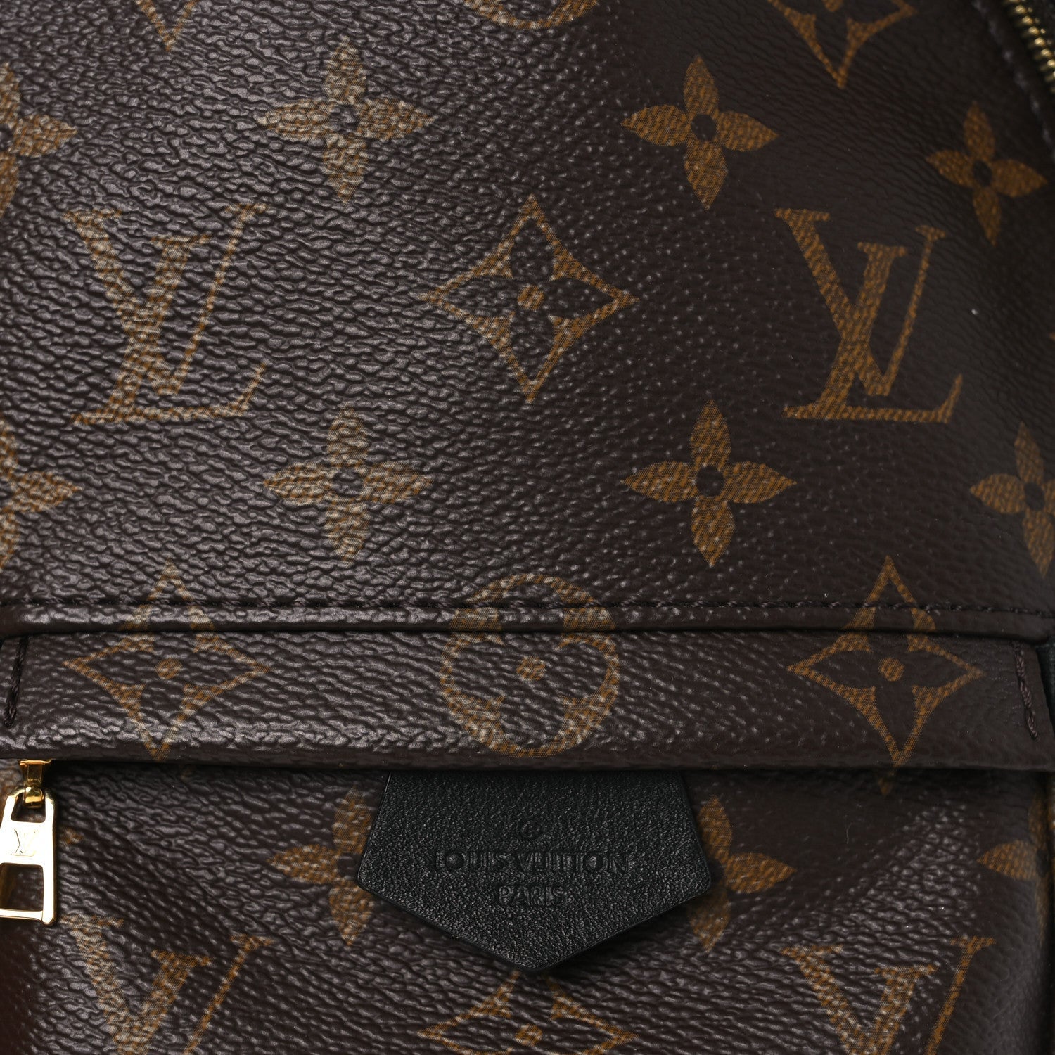 Monogram Palm Springs Backpack Mini