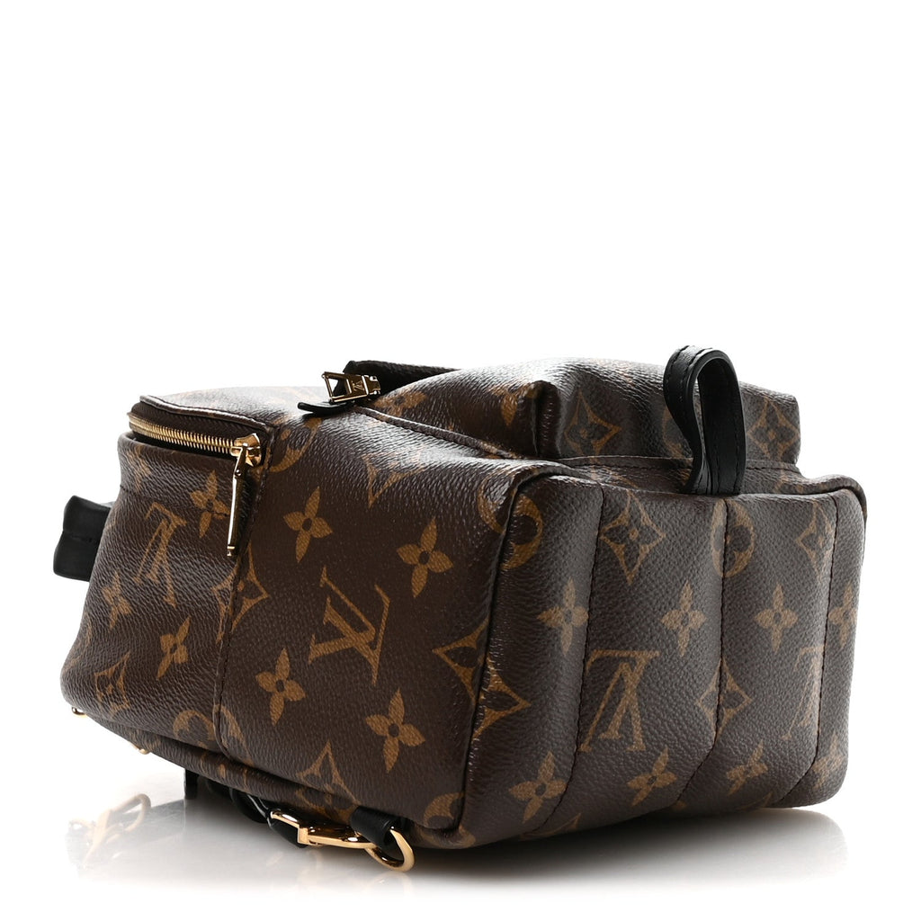 Monogram Palm Springs Backpack Mini