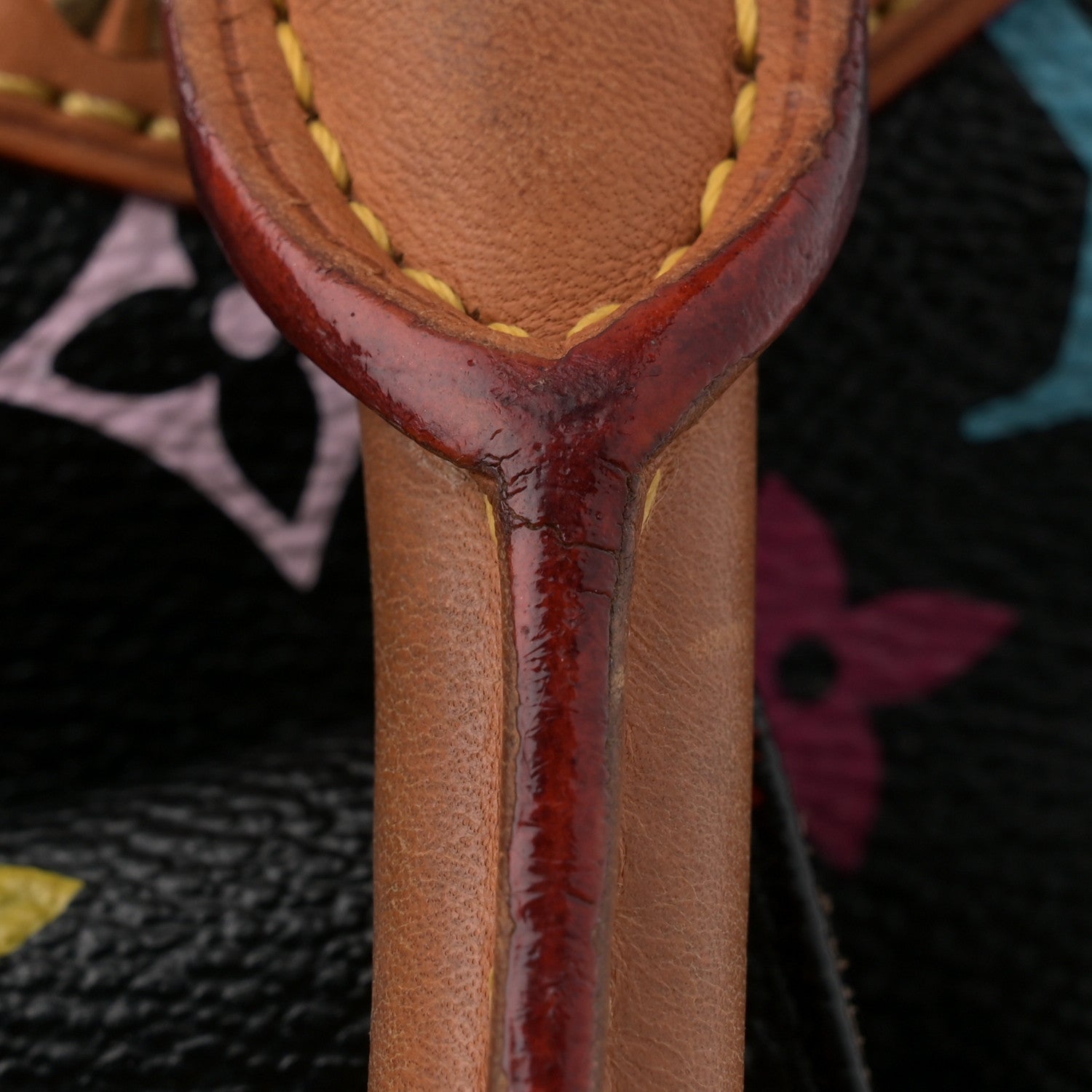 Monogram Multicolor Alma GM Black