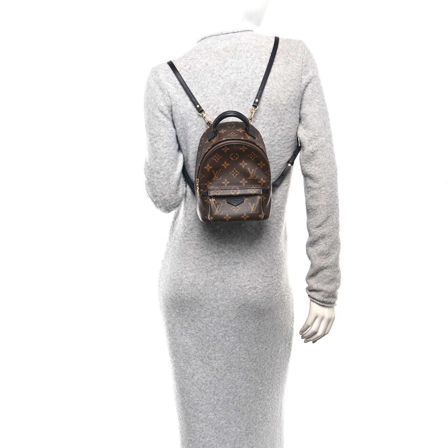 Monogram Palm Springs Backpack Mini