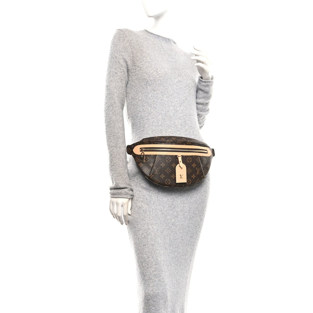 Monogram High Rise Bumbag