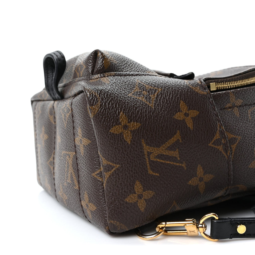 Monogram Palm Springs Backpack Mini