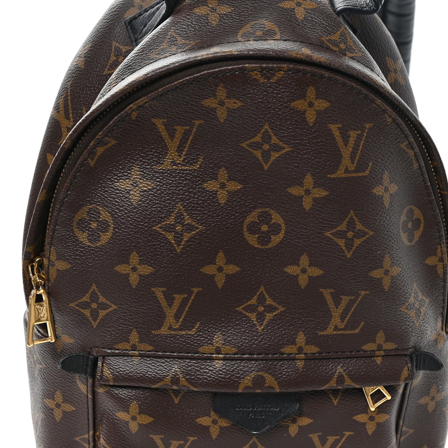 Monogram Palm Springs Backpack PM