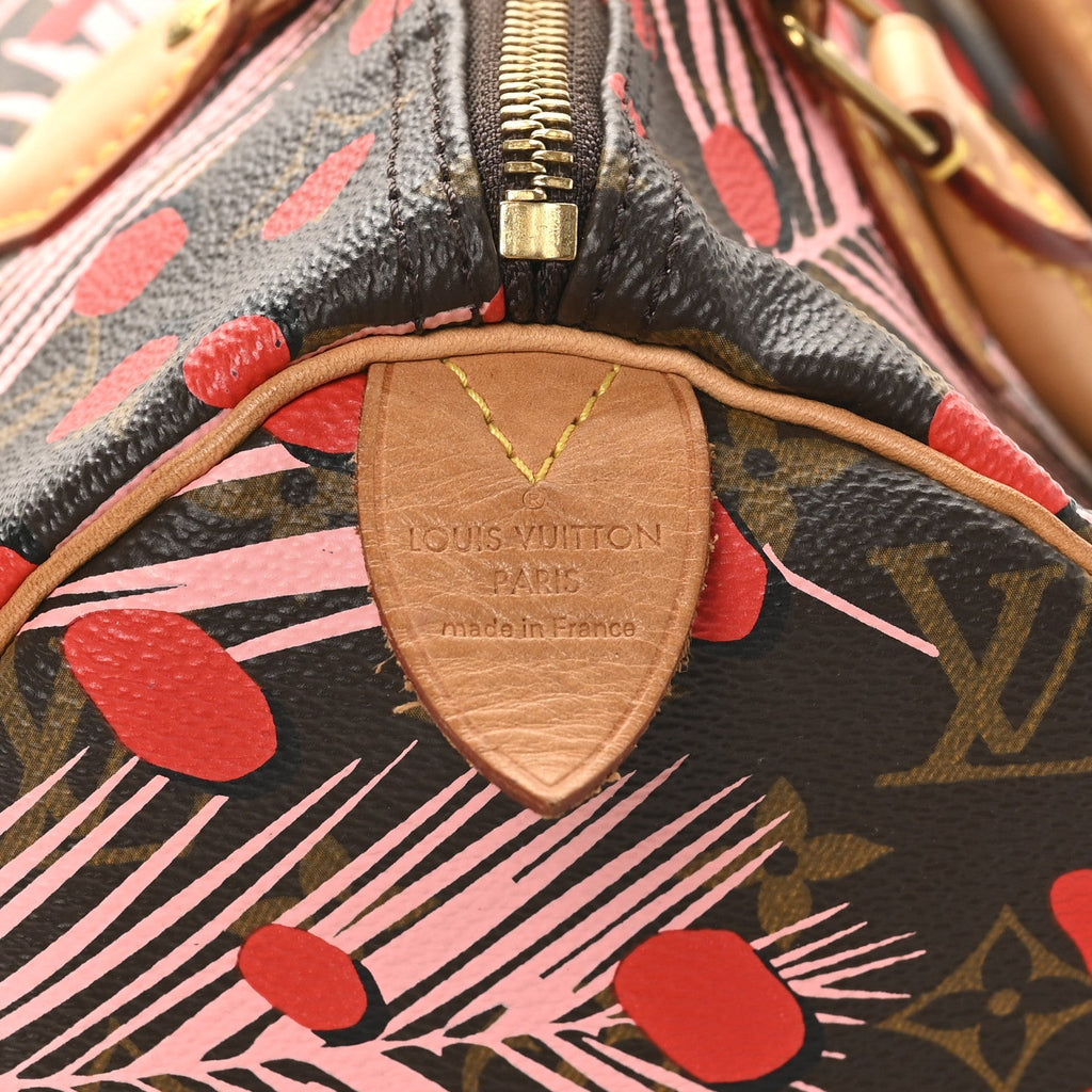 Monogram Jungle Dots Speedy 30 Sugar Pink Poppy