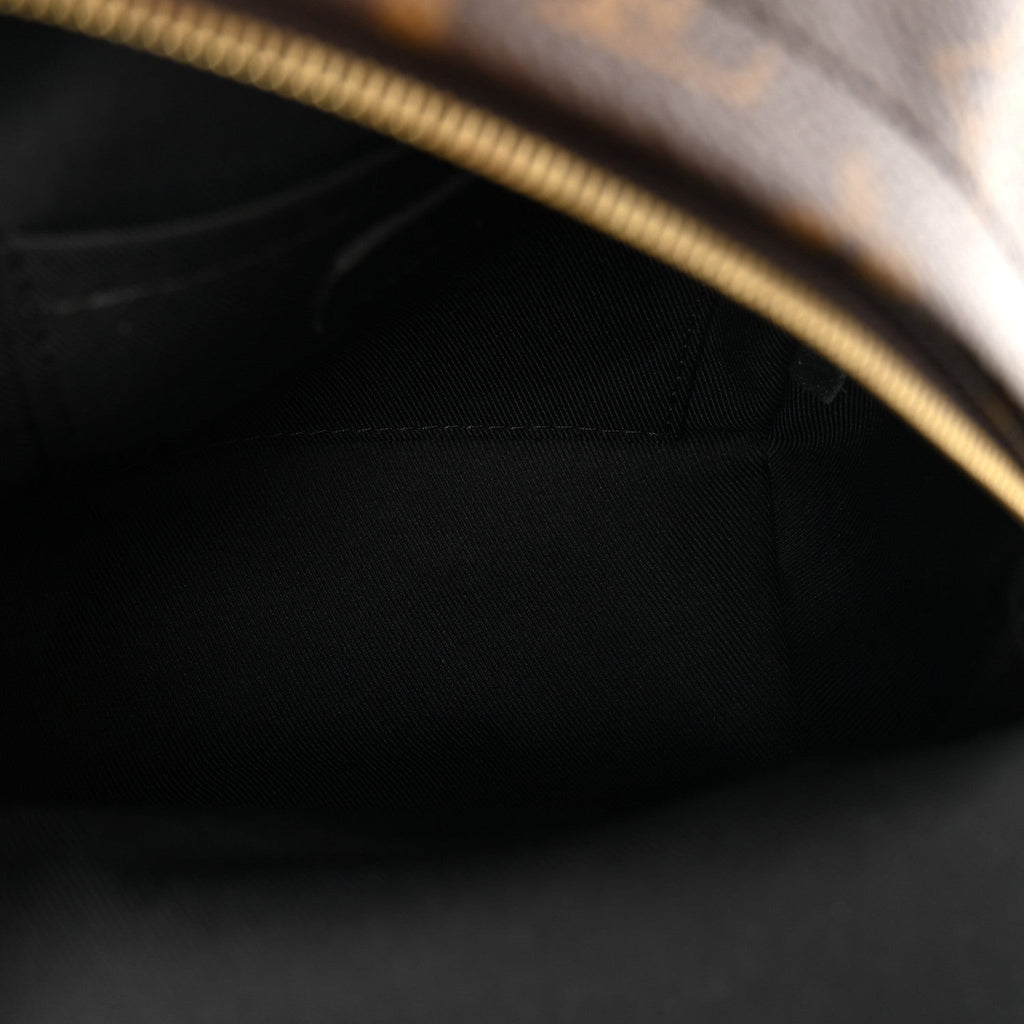 Monogram Palm Springs Backpack Mini
