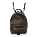 Monogram Palm Springs Backpack Mini