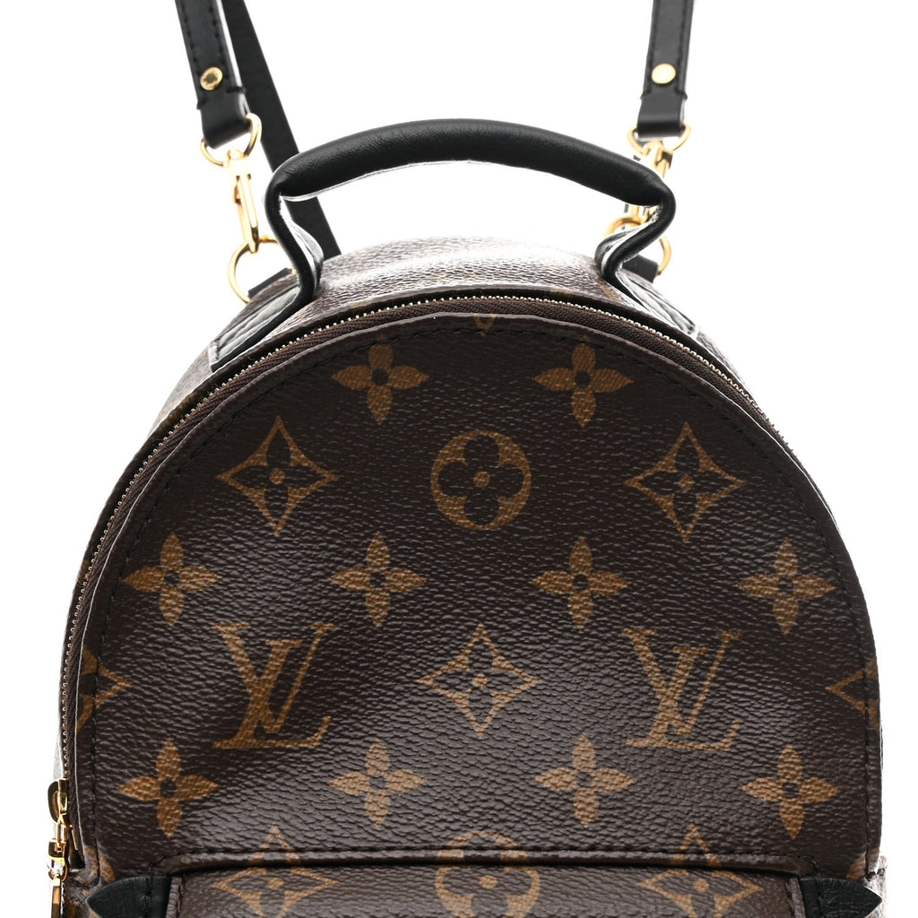 Monogram Palm Springs Backpack Mini