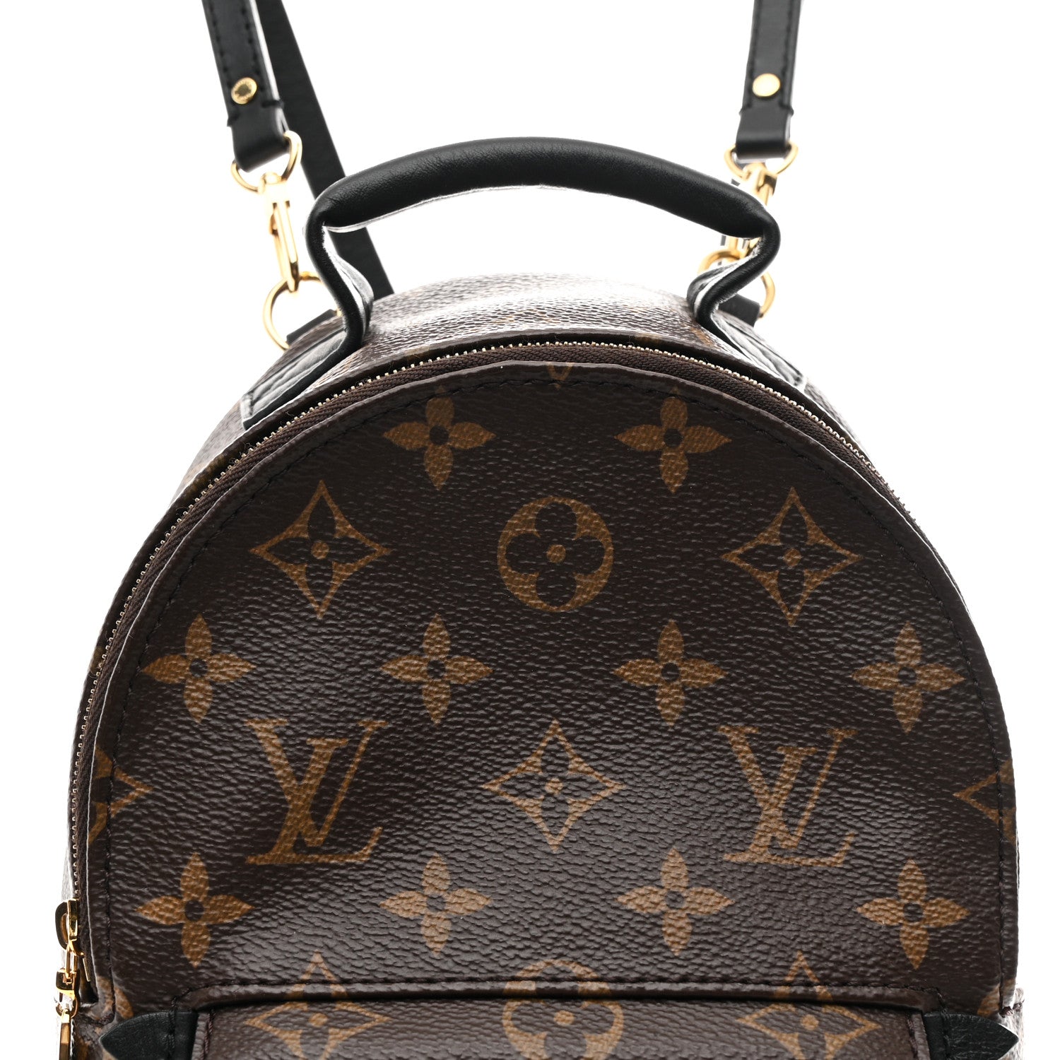 Monogram Palm Springs Backpack Mini