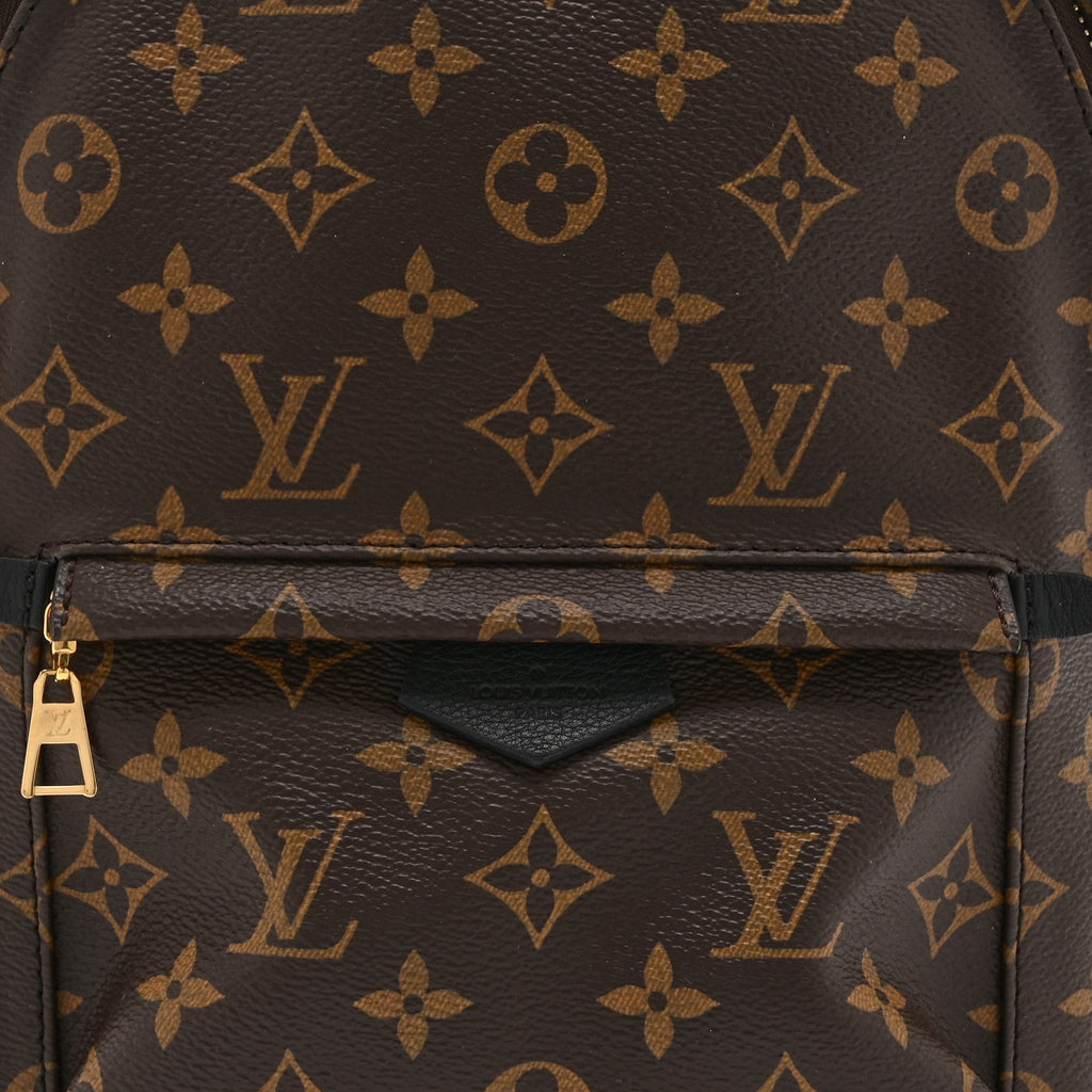 Monogram Palm Springs Backpack PM