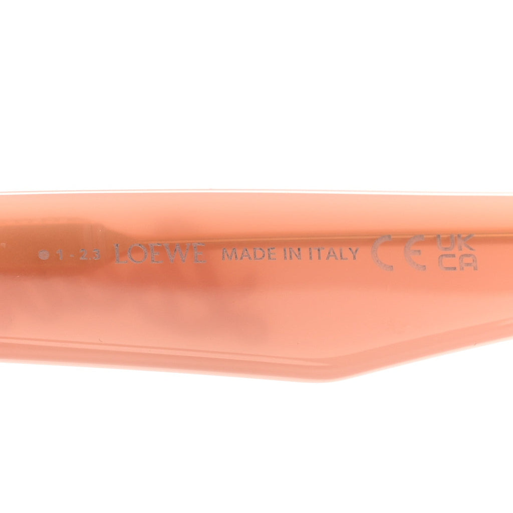 Acetate Curvy Round Sunglasses LW40112I Pink
