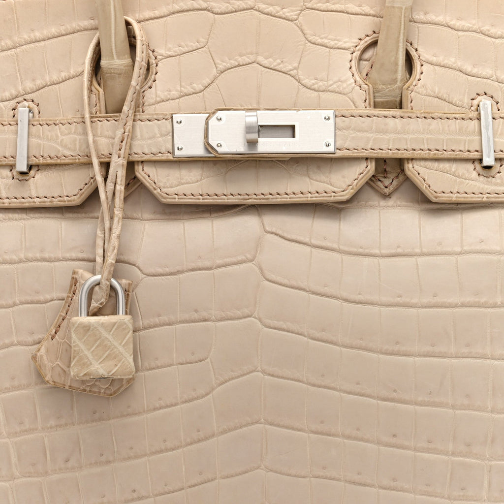 Matte Niloticus Crocodile Birkin 30 Parchemin