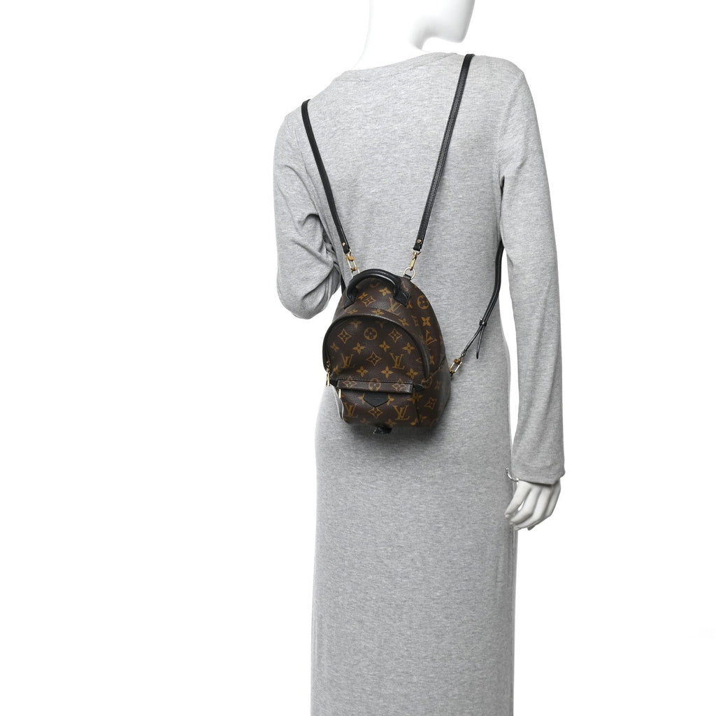 Monogram Palm Springs Backpack Mini