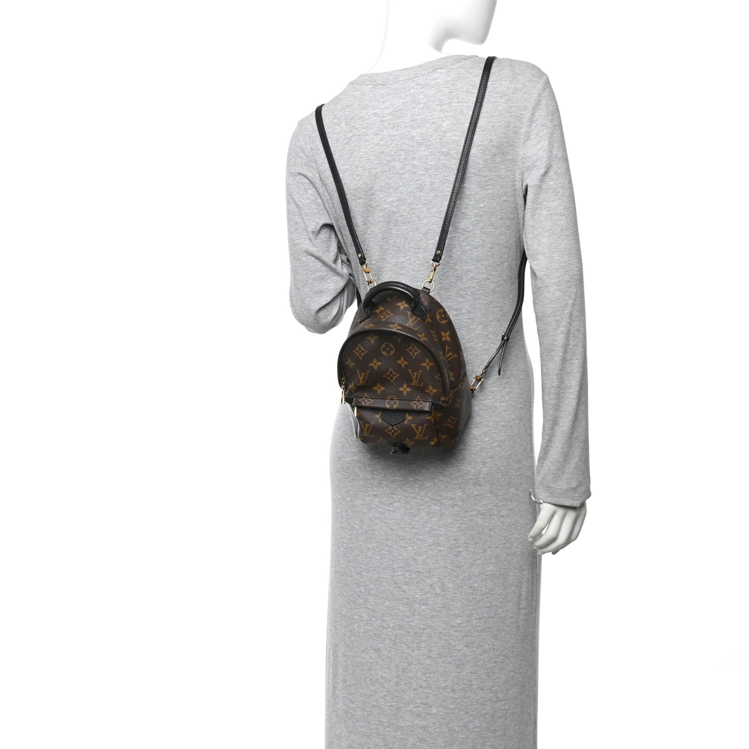 Monogram Palm Springs Backpack Mini