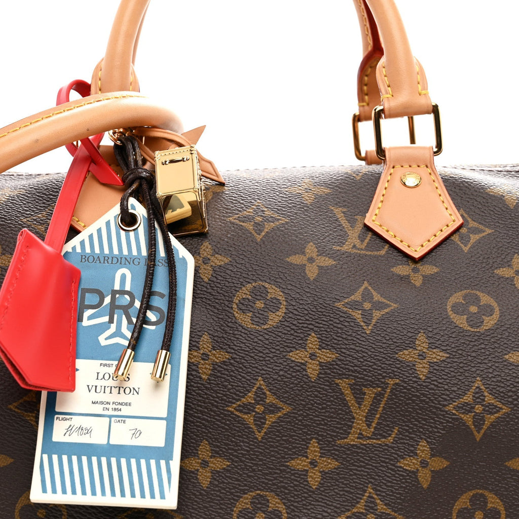 Monogram Speedy Soft Crafty 30