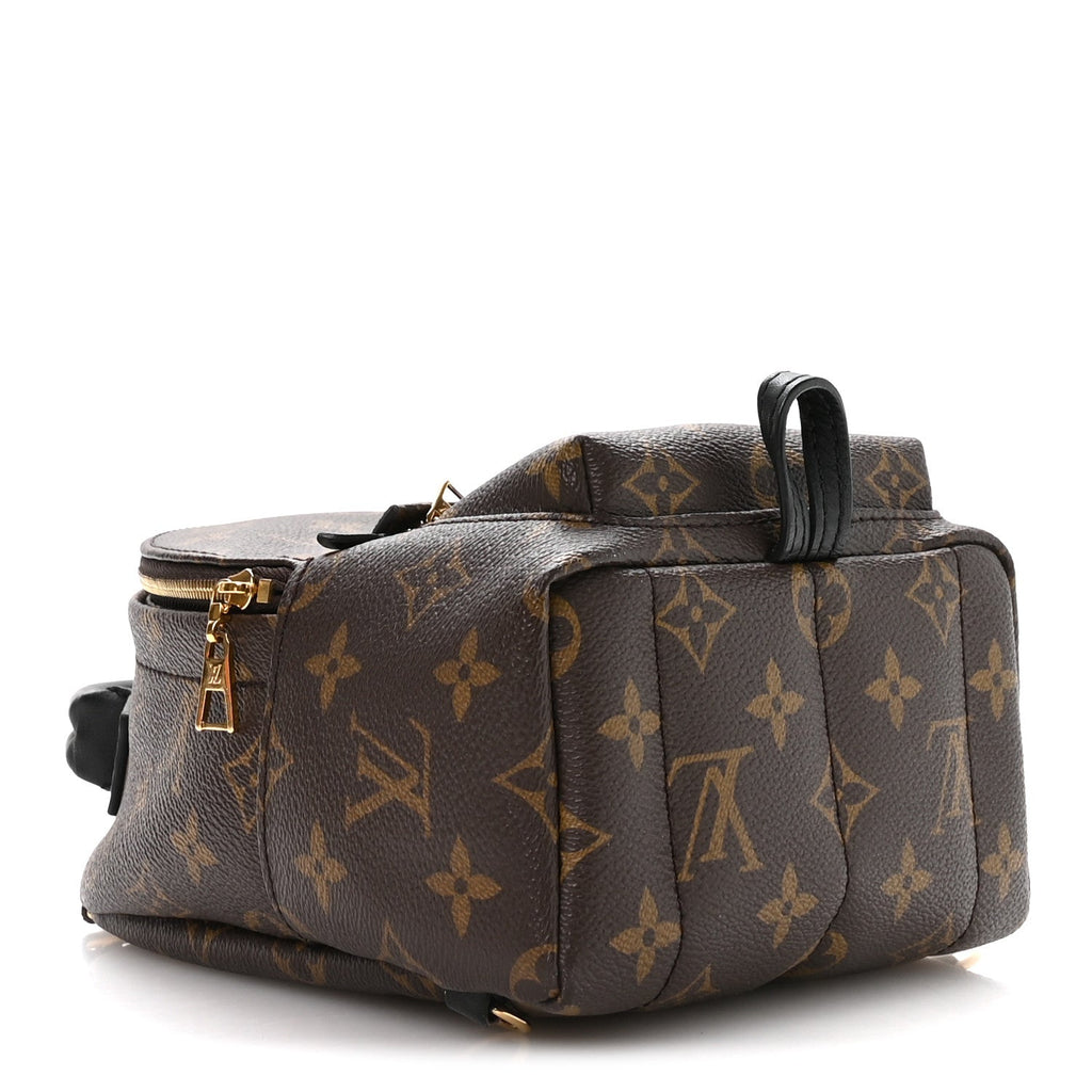 Monogram Palm Springs Backpack Mini