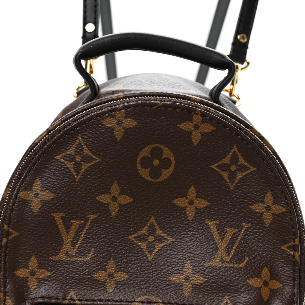 Monogram Palm Springs Backpack Mini