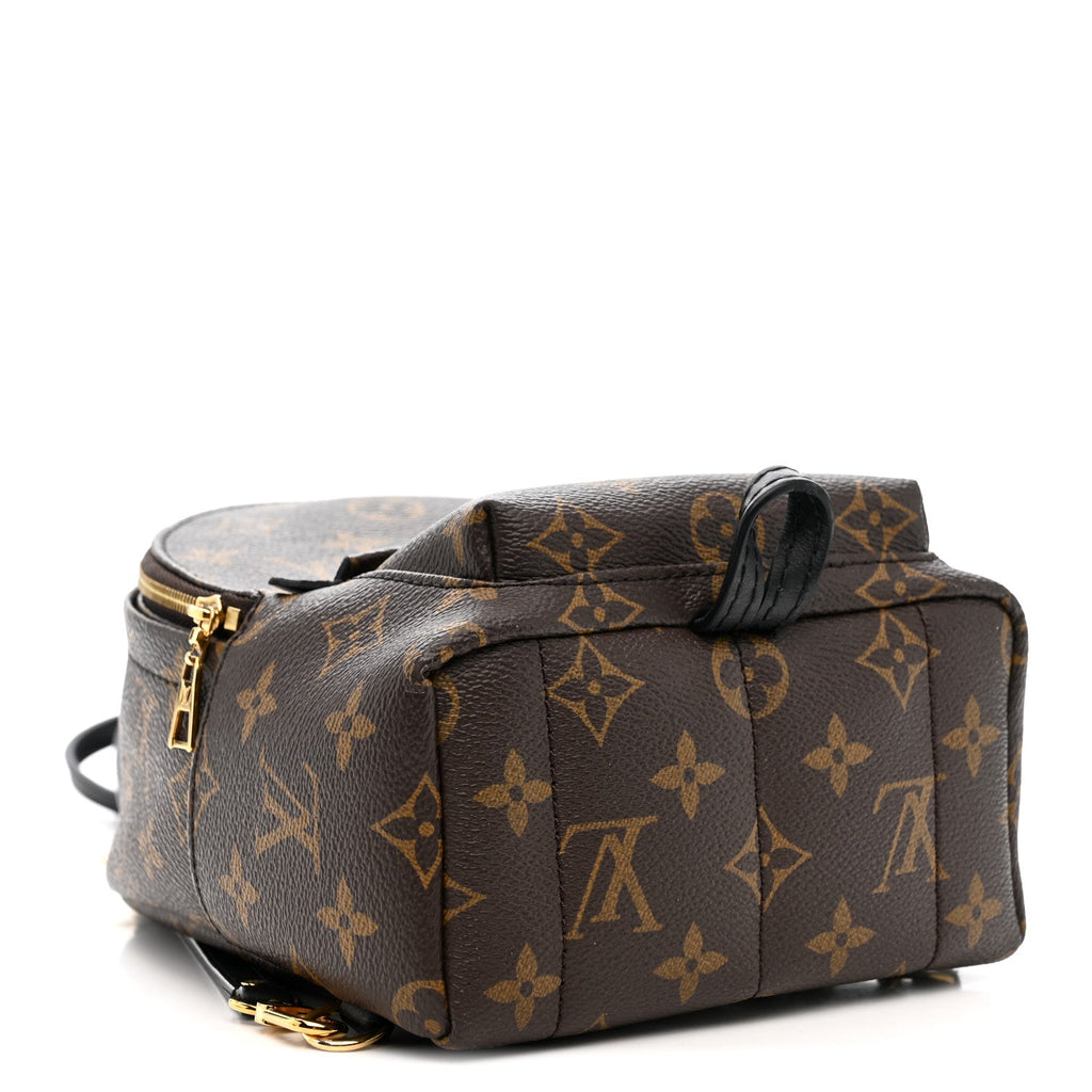 Monogram Palm Springs Backpack Mini