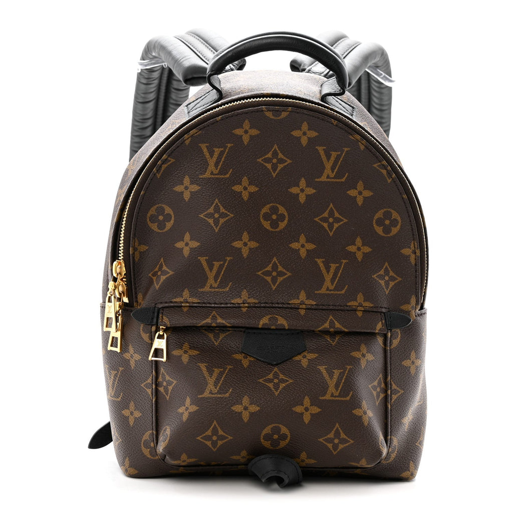 Monogram Palm Springs Backpack PM