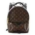 Monogram Palm Springs Backpack PM