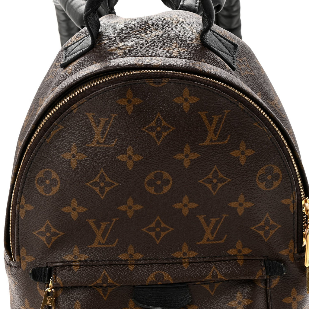 Monogram Palm Springs Backpack PM