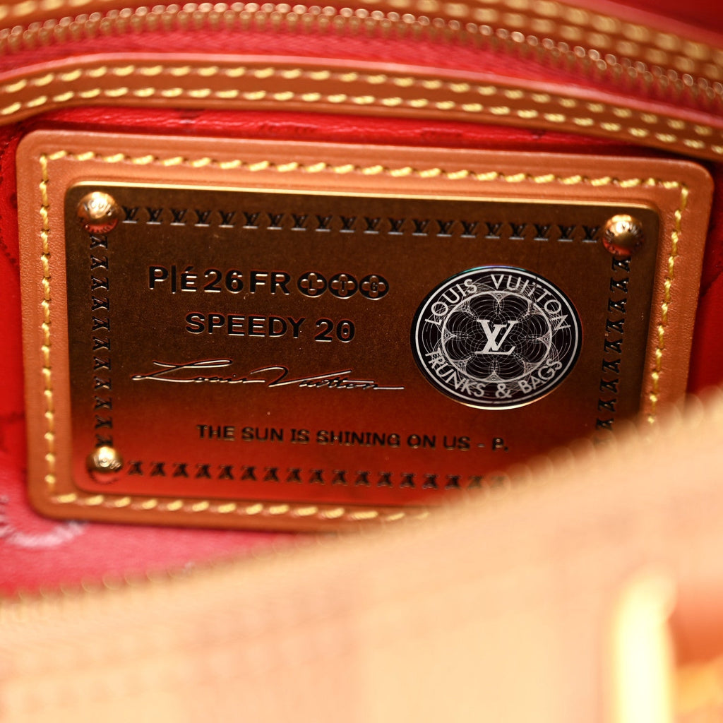 Calfskin Washed Stripes Speedy P9 Bandouliere 20 Camel