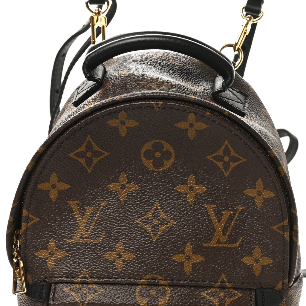 Monogram Palm Springs Backpack Mini