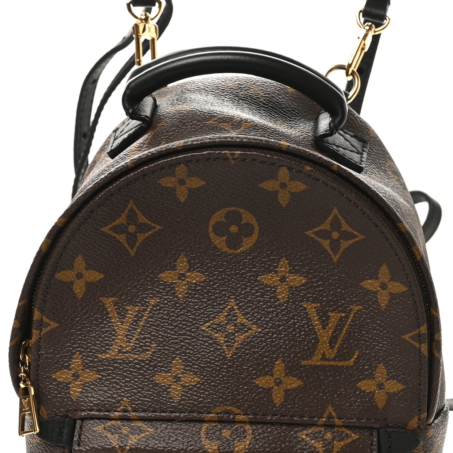 Monogram Palm Springs Backpack Mini
