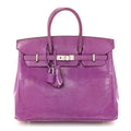 Lizard Birkin 25 Violet