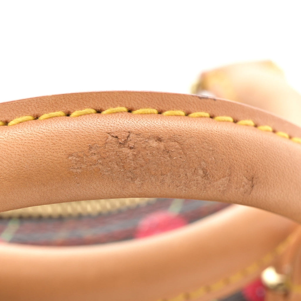 Monogram Cerises Speedy 25
