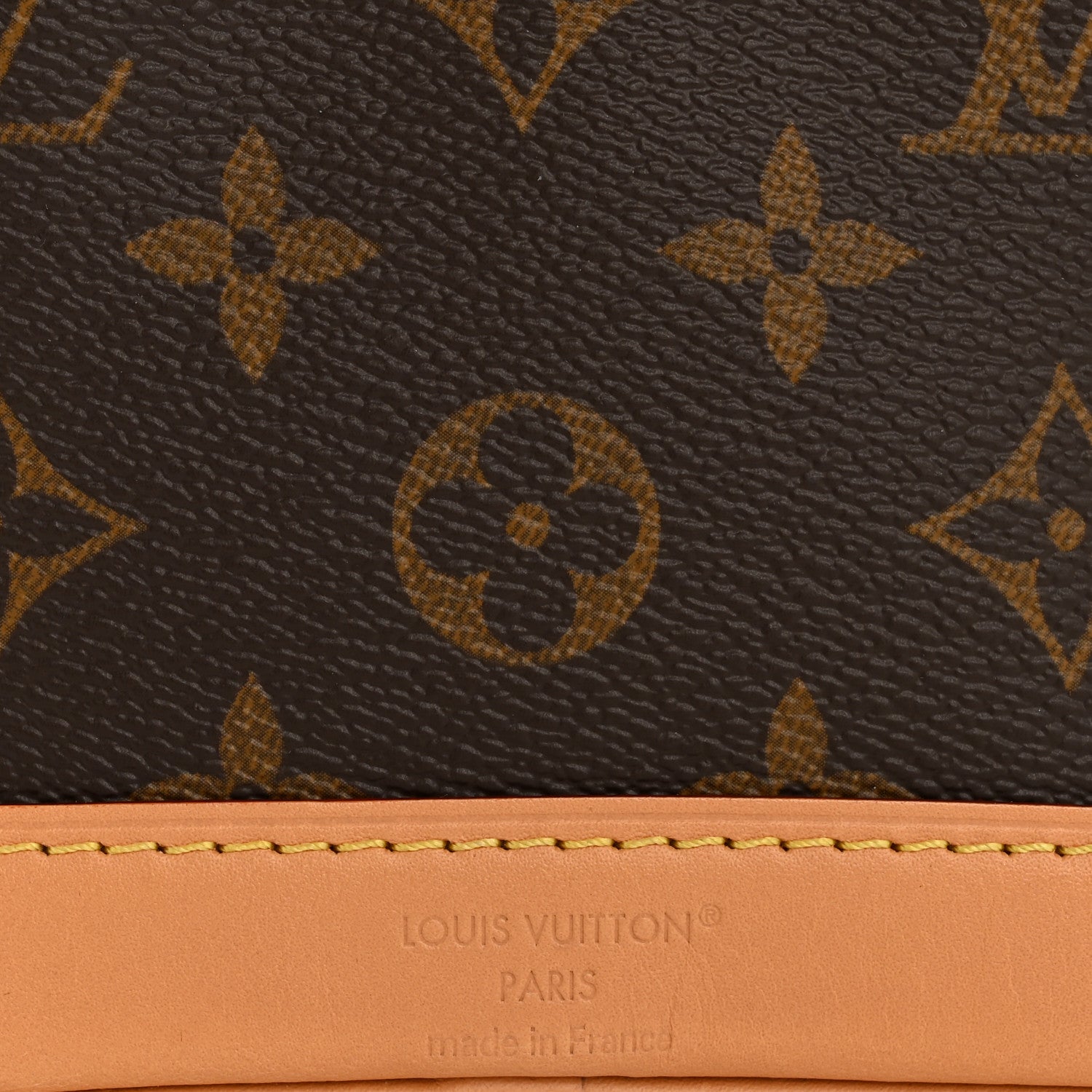 Monogram Nano Noe NV