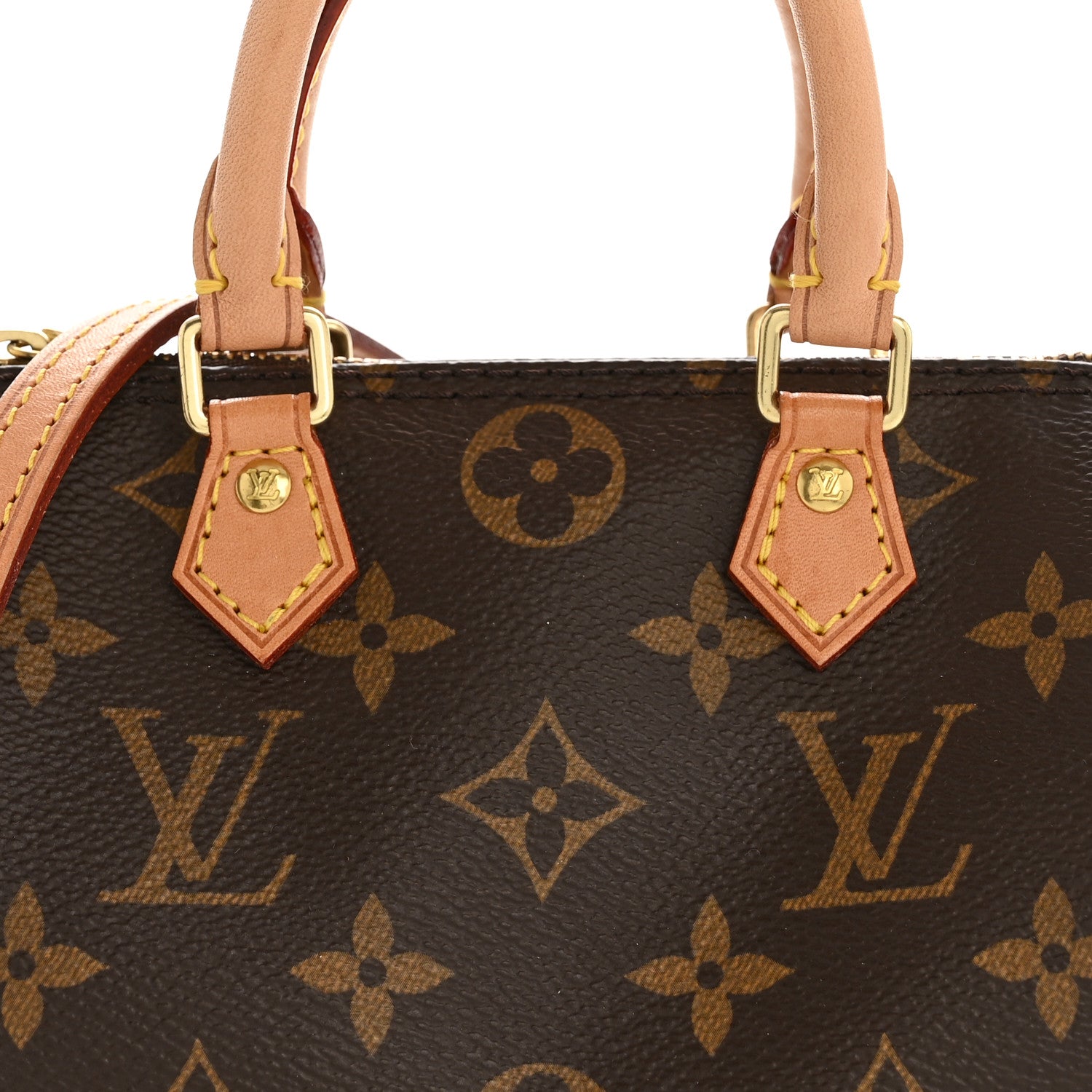 Monogram Nano Speedy