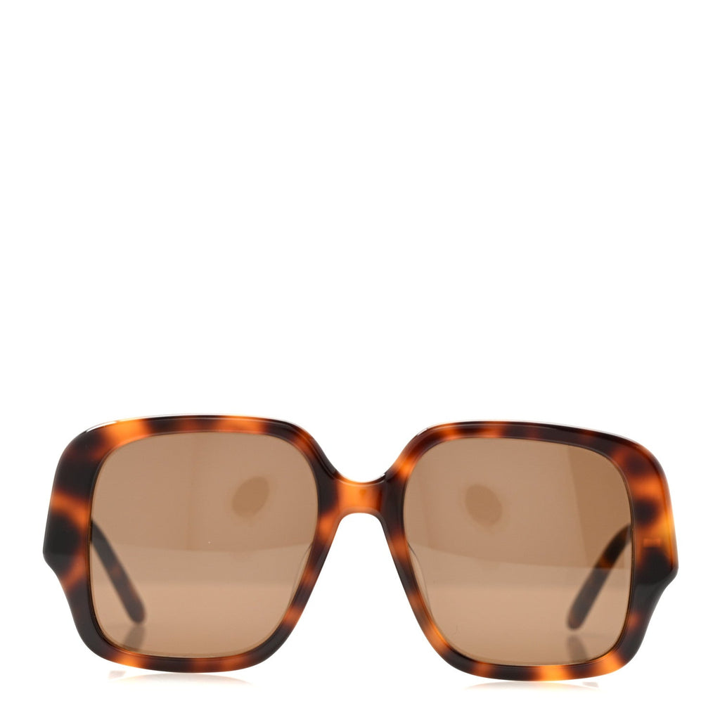Acetate Square Sunglasses LW40134U Tortoise