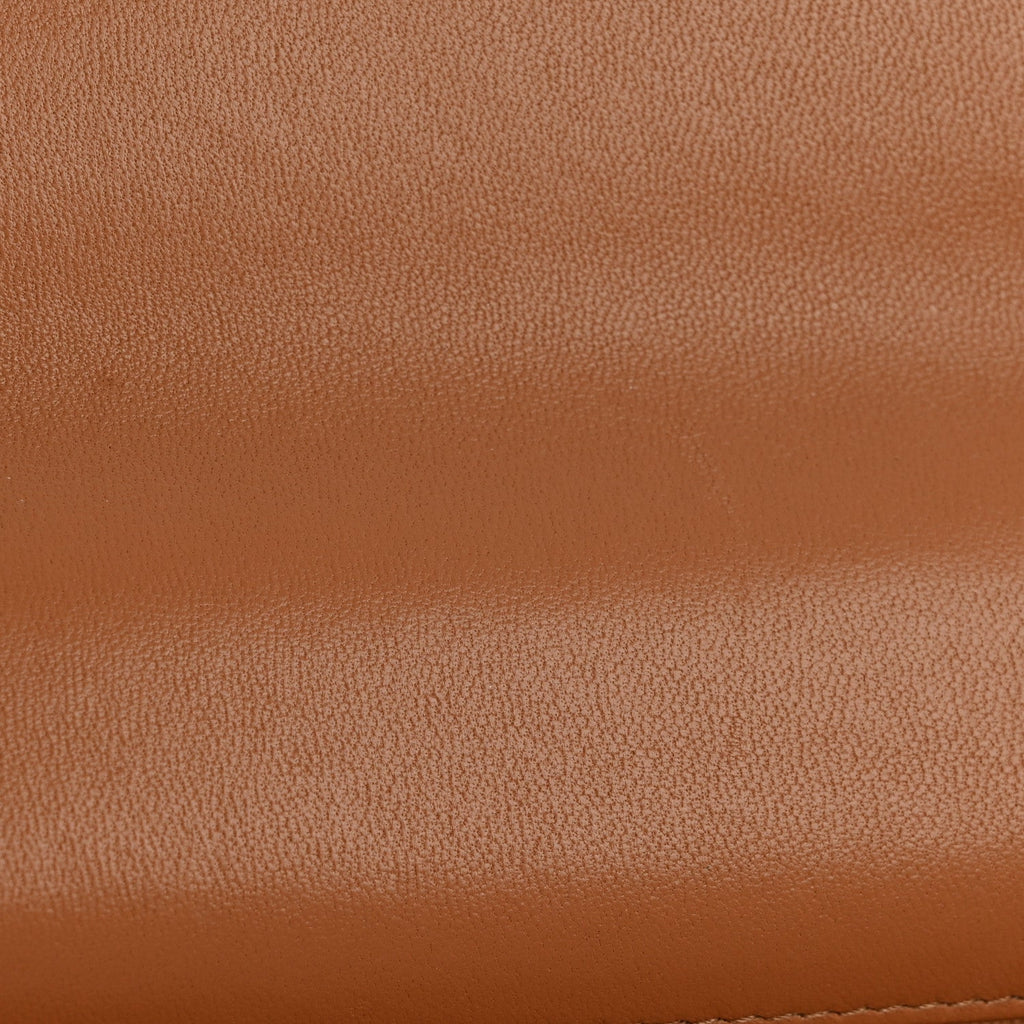 Lambskin Quilted Chanel 19 Wallet On Chain WOC Brown