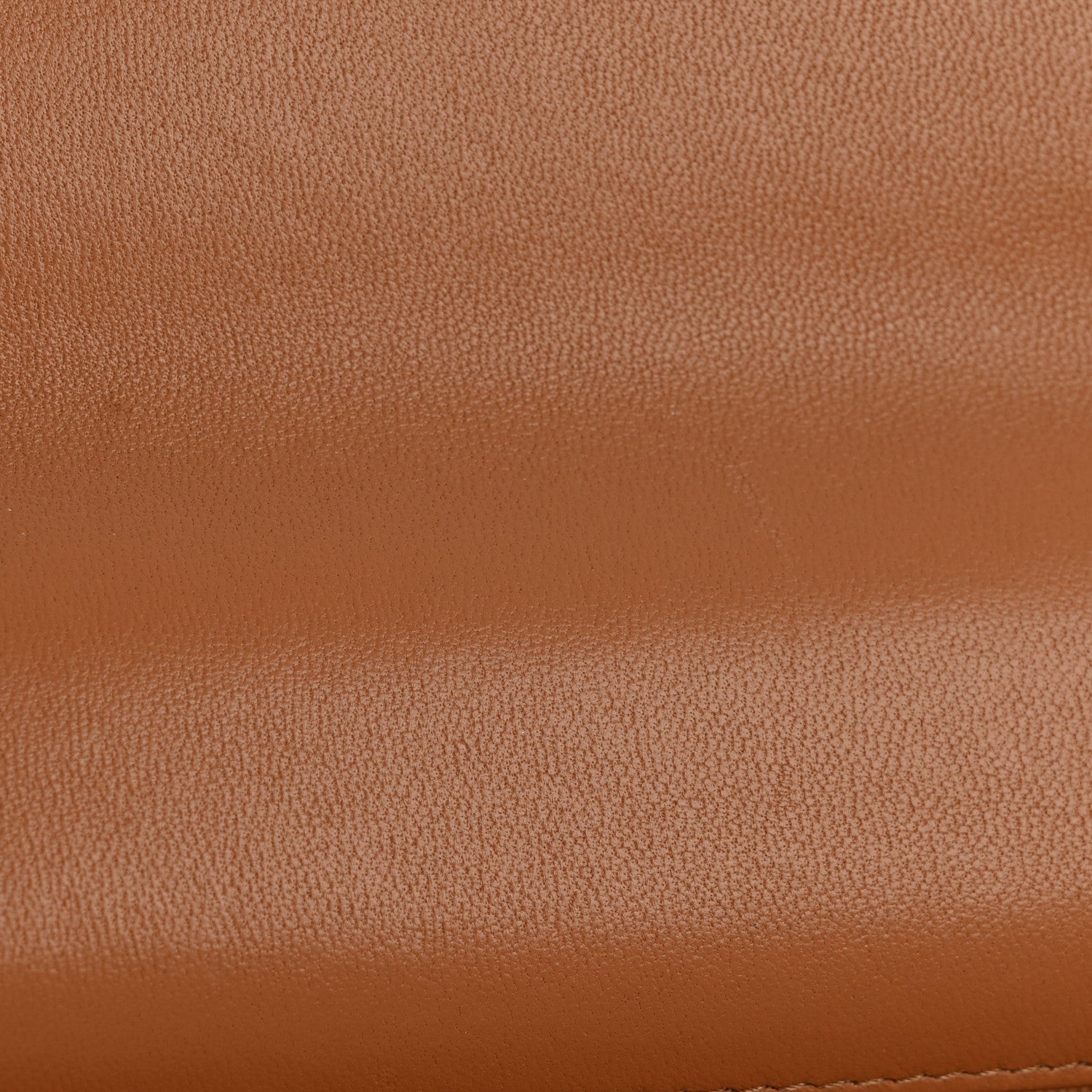 Lambskin Quilted Chanel 19 Wallet On Chain WOC Brown