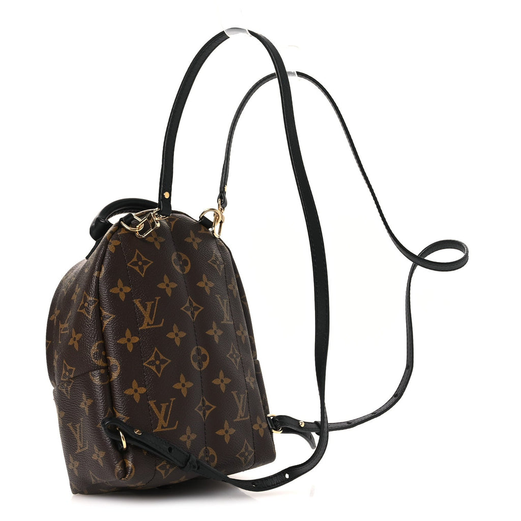 Monogram Palm Springs Backpack Mini