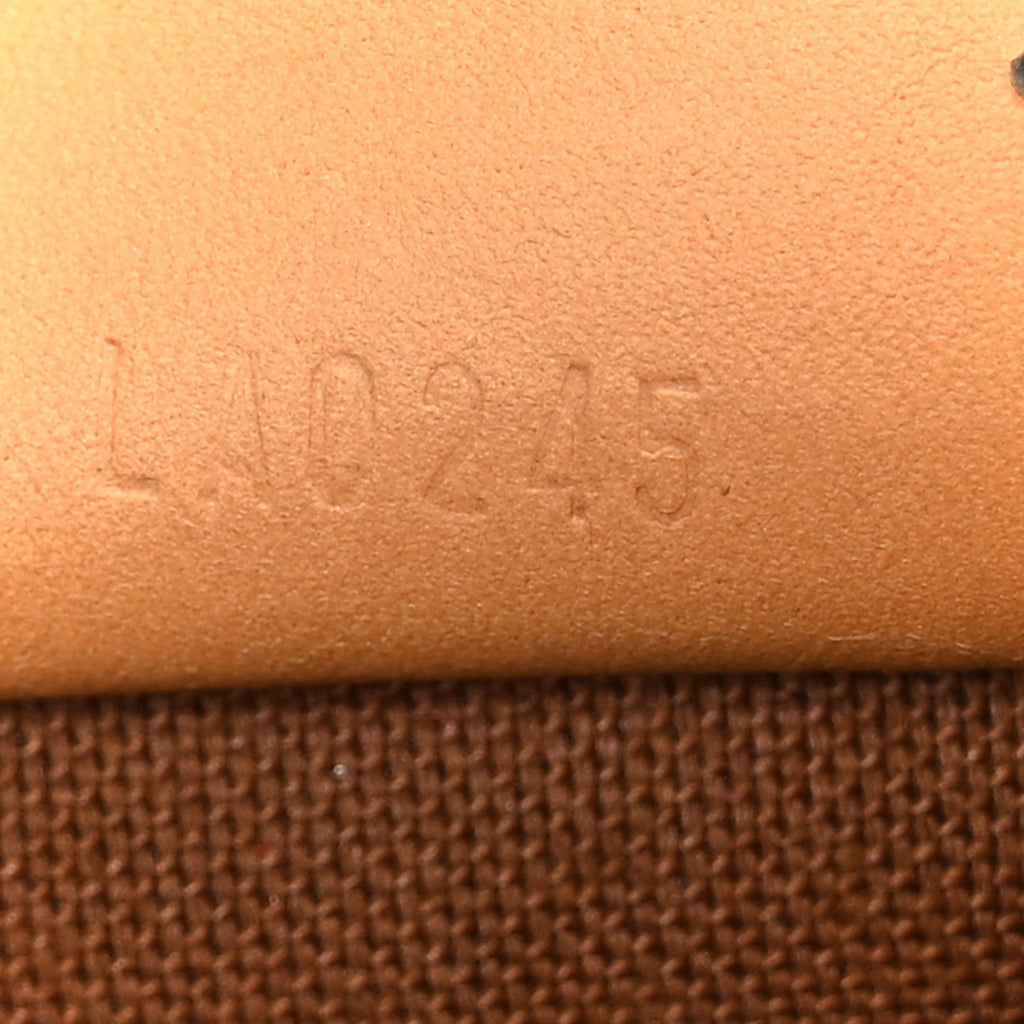 Monogram Nano Speedy Bandouliere